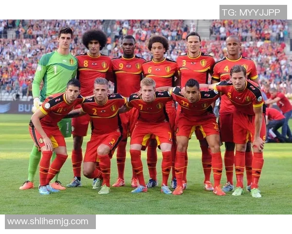 比利时足球十大球星阵容分析及其在国际赛场上的表现