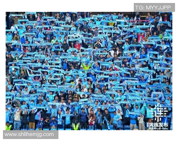 球星与球迷共振足球场上的激情与梦想交汇时刻