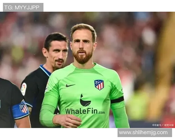 足球之家vip球星独家揭秘辉煌赛场背后故事与荣耀时刻